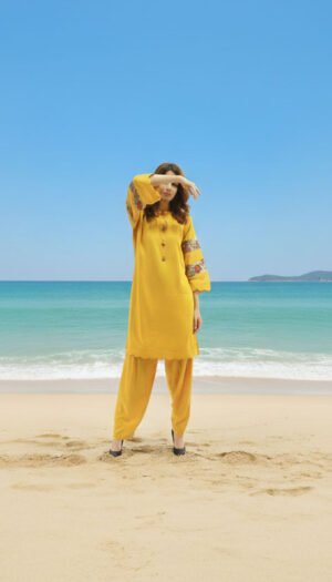 Patchwork Breeze, a stunning 2-piece sky blue lawn suit featuring exquisite hand-worked patches on the sleeves and matching tailored trousers.